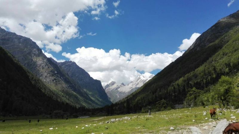 达尔宫登山协作队